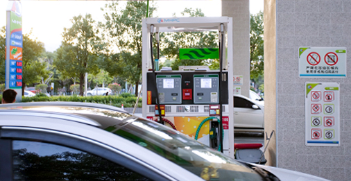 3133cc��˹ά��˹��(�й���)�ٷ���վ